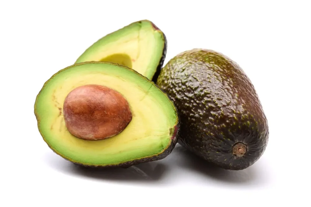 can dogs eat avocado