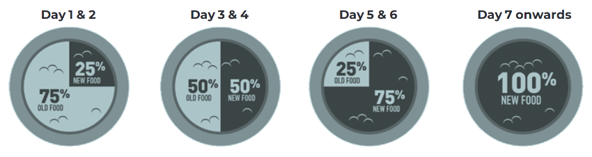 how to transition dog food