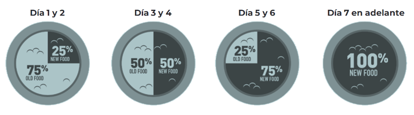 como cambiar la comida de mi perro
