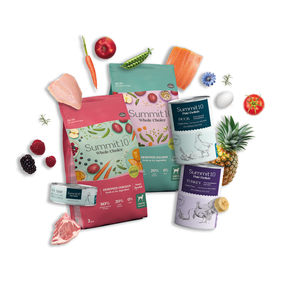 healthy food for cats