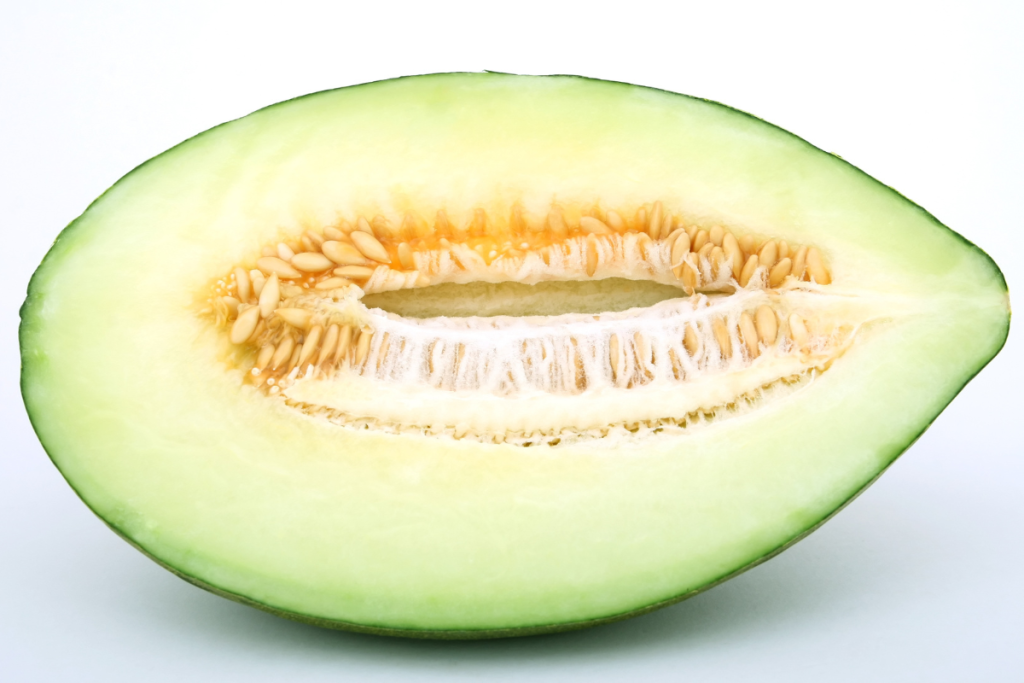what fruits can dogs eat