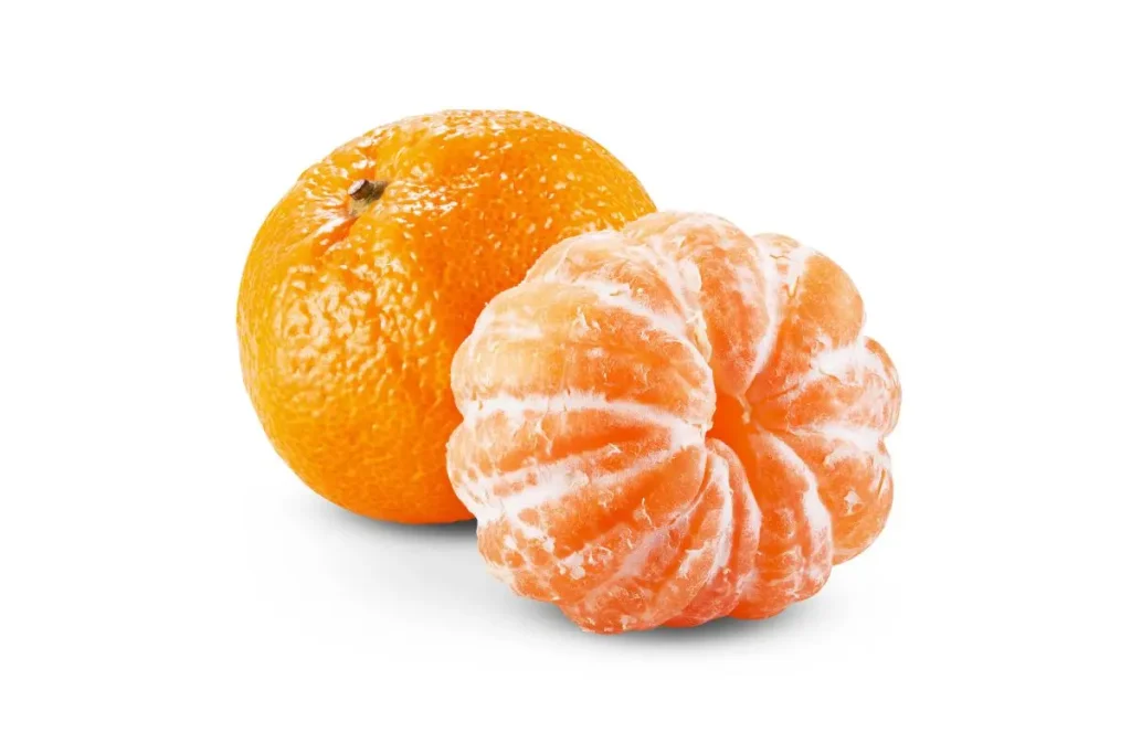 what fruits can dogs eat